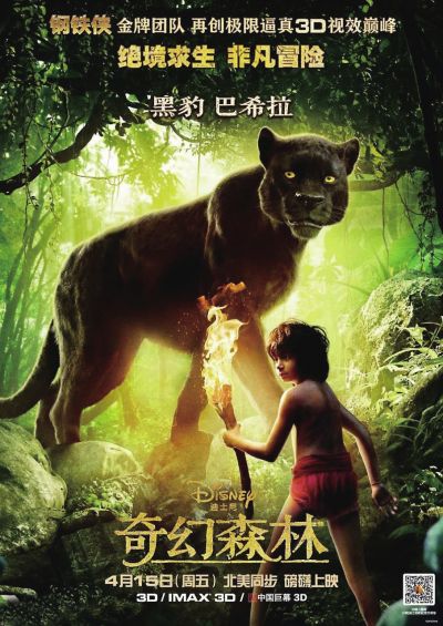 买个假美国绿卡